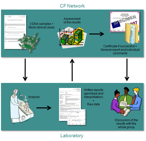 Figure of the CF EQA scheme process